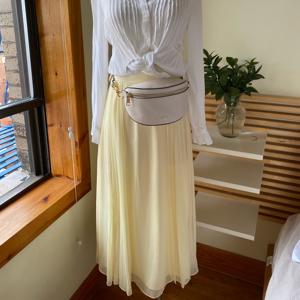 ARITZIA never worn skirt.